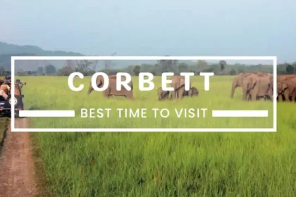 Best Time To Visit Jim Corbett National Park