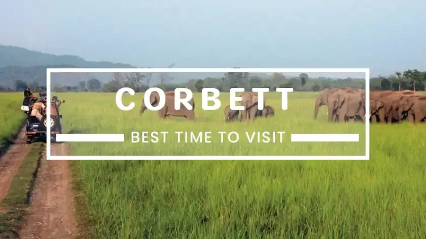 Best Time To Visit Jim Corbett National Park