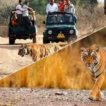 Sariska Tiger Reserve