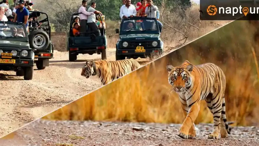 Sariska Tiger Reserve