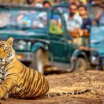 Book Ranthambore National Park Safari Online