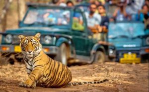 Book Ranthambore National Park Safari Online