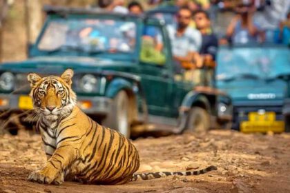 Book Ranthambore National Park Safari Online