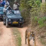 ranthambore National park