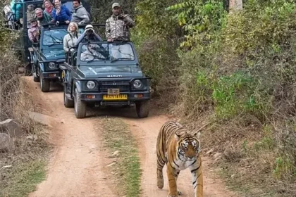 ranthambore National park