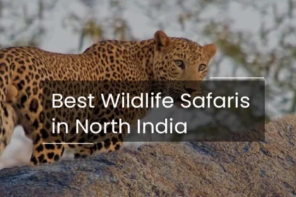Wildlife Safaris in North India