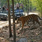 Things to Do in Bandhavgarh National Park