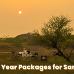 new year packages
