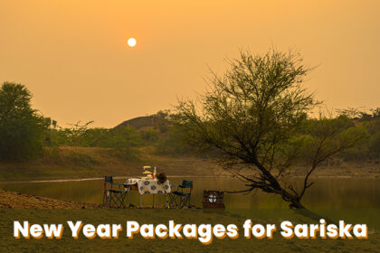 new year packages