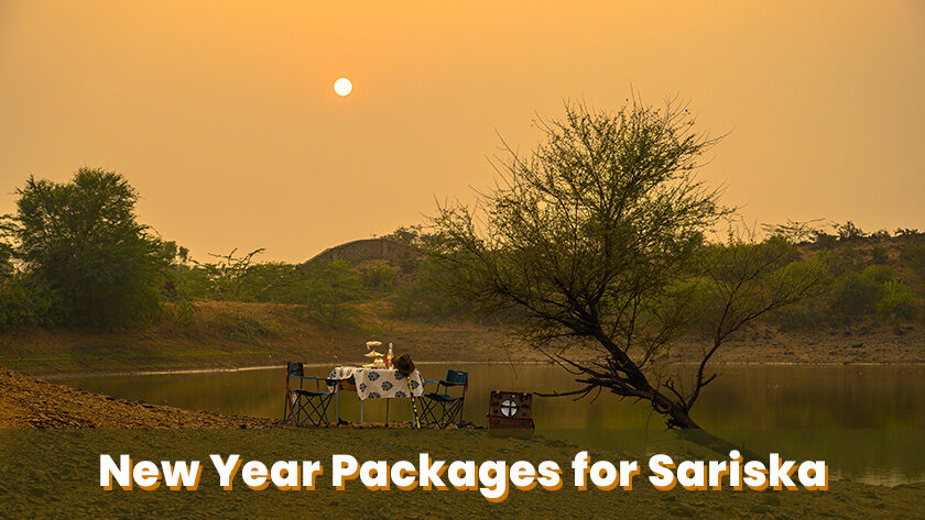 new year packages