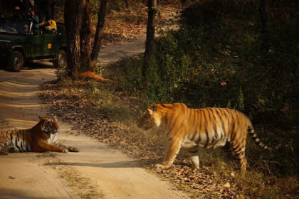 kanha national park tour package