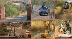 Places to Visit Near Ranthambore National Park