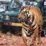 History of Sariska National Park