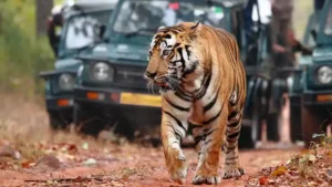 History of Sariska National Park