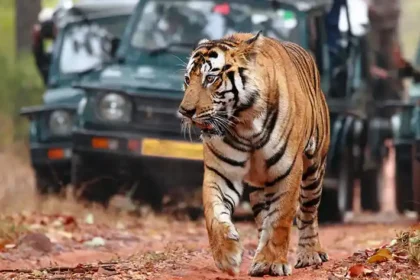 History of Sariska National Park