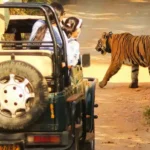 How To Reach Sariska National Park