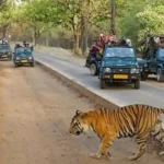 Sariska Tour packages from Delhi