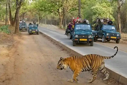 Sariska Tour packages from Delhi