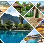 Best Places To Stay Near Jim Corbett National Park