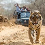 History of Jim Corbett National Park