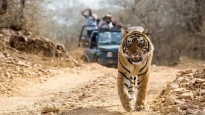 History of Corbett Tiger Reserve