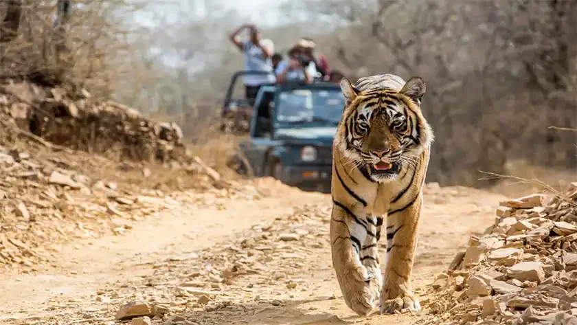 History of Jim Corbett National Park