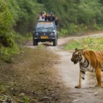 How To Reach Jim Corbett National Park