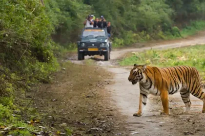 How To Reach Jim Corbett National Park