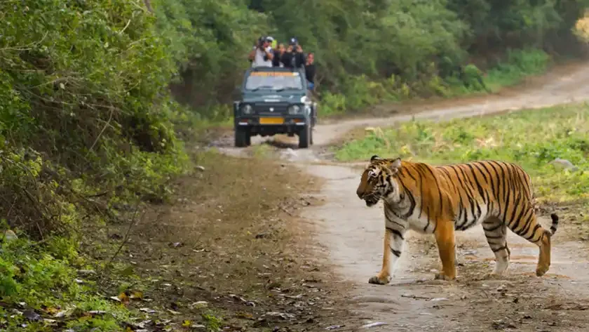 How To Reach Jim Corbett National Park