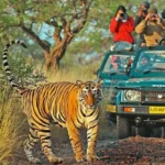 Bandhavgarh Tour Packages From Delhi