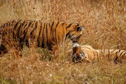 History of Ranthambore National Park