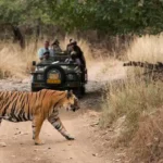 How To Reach Ranthambore National Park