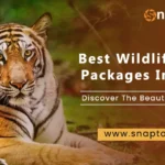 Best Wildlife Tour Packages In India