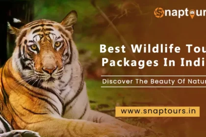 Best Wildlife Tour Packages In India