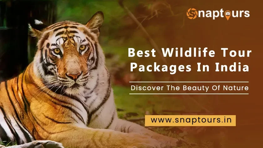 Best Wildlife Tour Packages In India