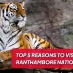 Ranthambore National Park