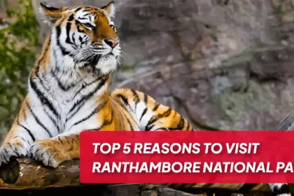 Ranthambore National Park