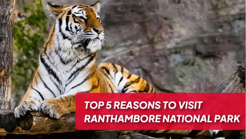 Ranthambore National Park