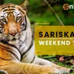 Sariska Weekend Tour - 2 Nights & 3 Days Package