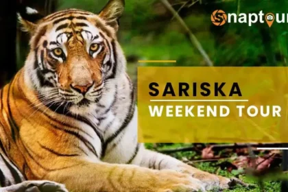 Sariska Weekend Tour - 2 Nights & 3 Days Package