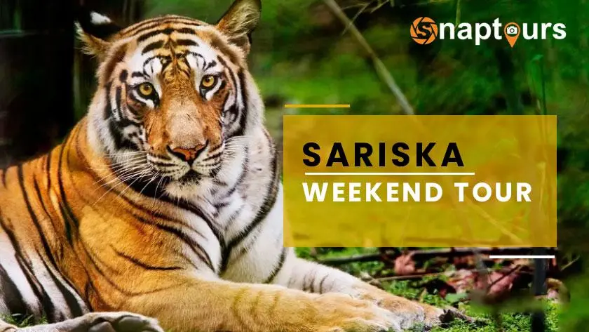 Sariska Weekend Tour - 2 Nights & 3 Days Package