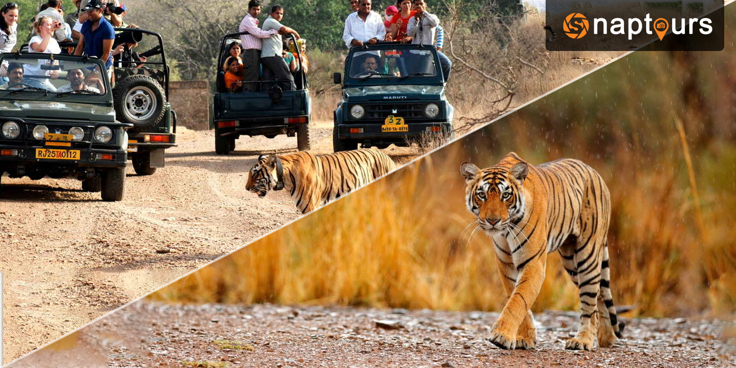 Sariska Tiger Reserve