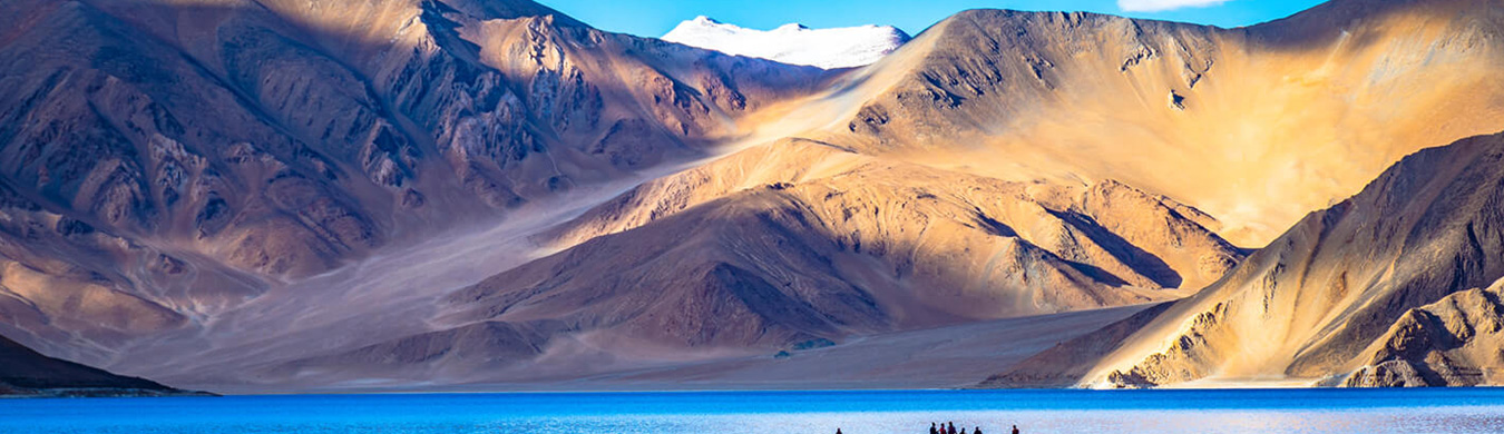 ladakh tour package